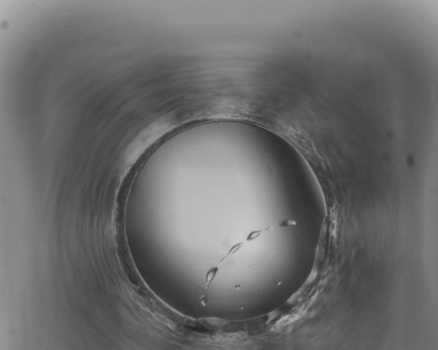 X0000062140292200512161225