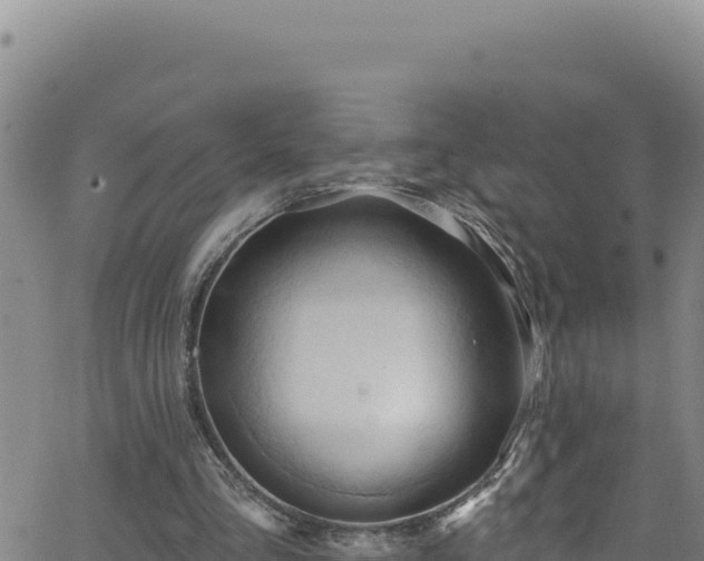 X0000062140293200512161225