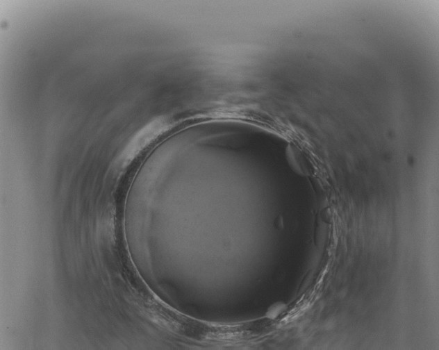 X0000062140295200512161225