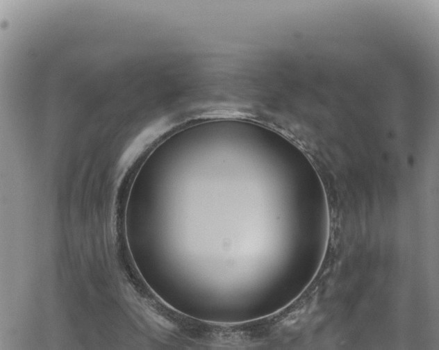 X0000062140296200512161225