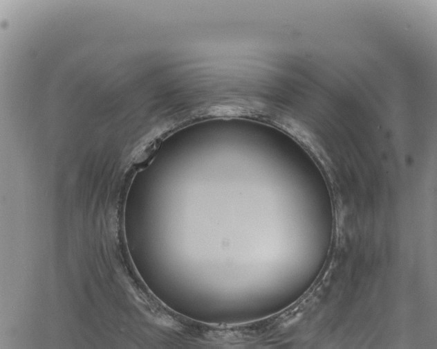 X0000062140297200512161225