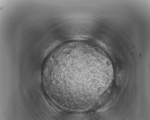 X0000062140299200512161224