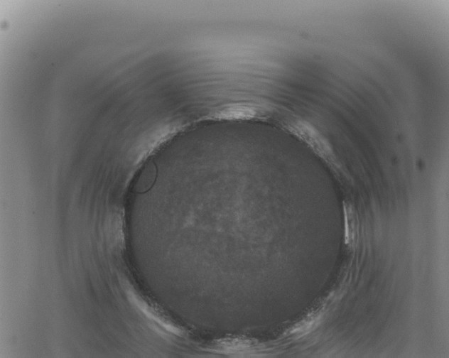 X0000062140300200512161224