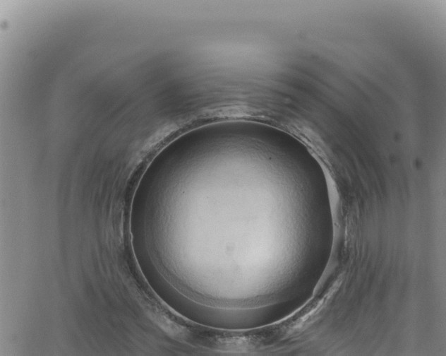 X0000062140301200512161224