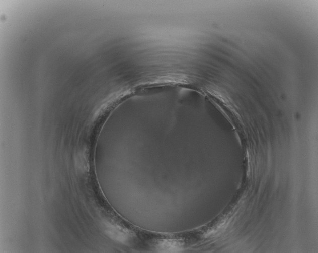 X0000062140303200512161224