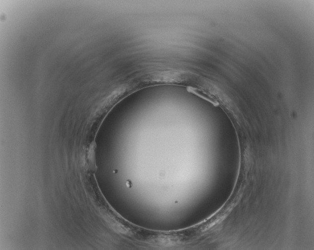 X0000062140305200512161224