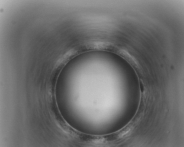 X0000062140306200512161224