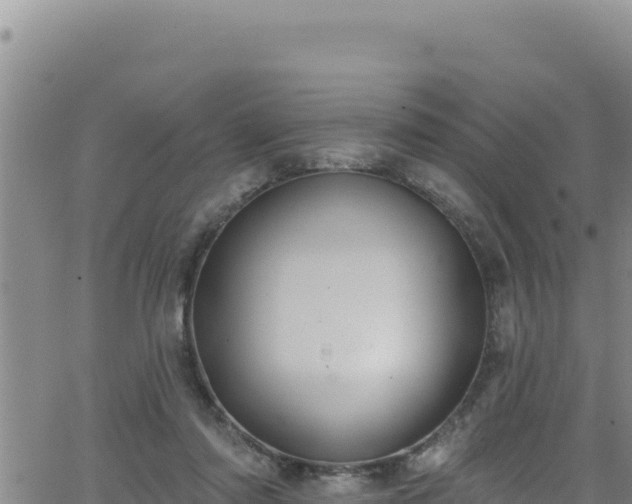 X0000062140310200512161224