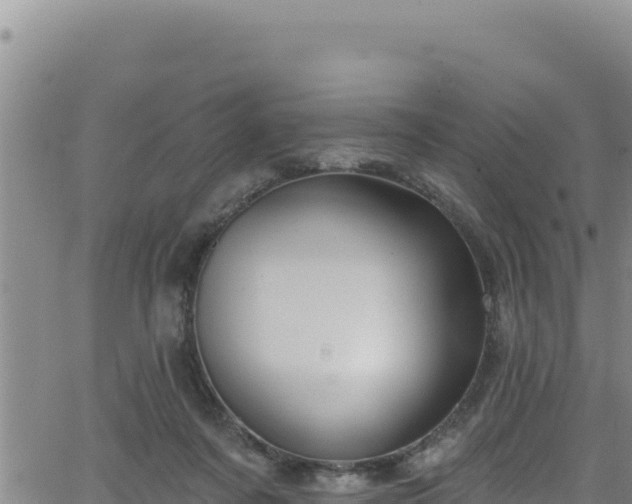 X0000062140311200512161224