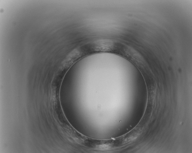 X0000062140312200512161224