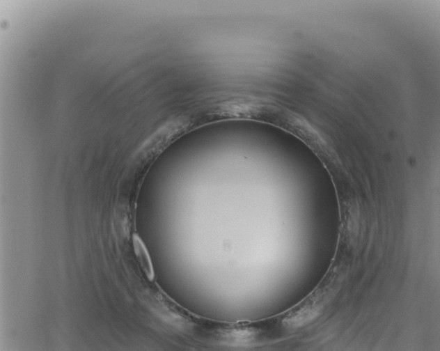 X0000062140313200512161224