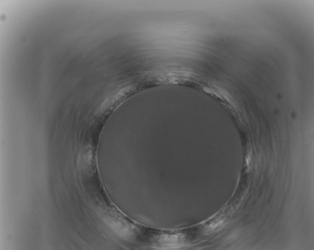 X0000062140314200512161224