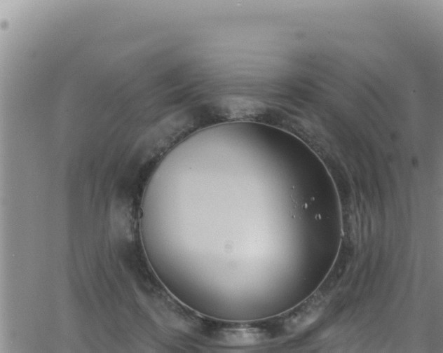 X0000062140316200512161224