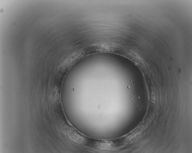 X0000062140318200512161224