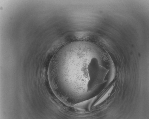 X0000062140319200512161224