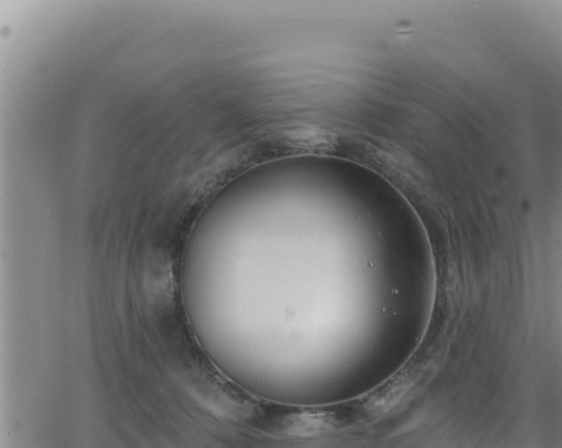 X0000062140320200512161224