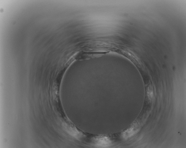 X0000062140322200512161224