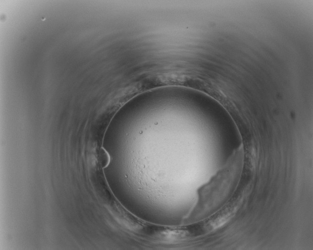 X0000062140323200512161224