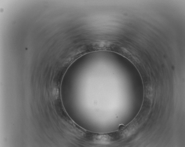 X0000062140324200512161224