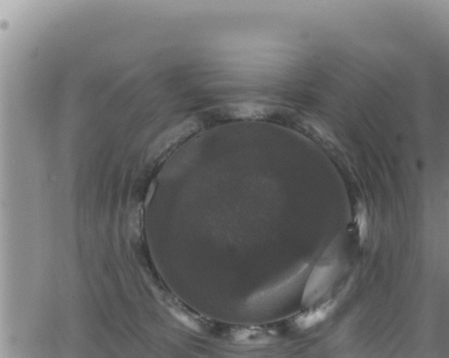 X0000062140325200512161224