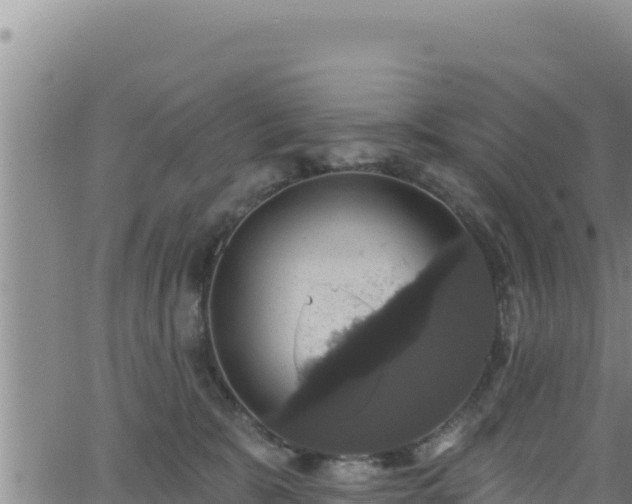 X0000062140327200512161224