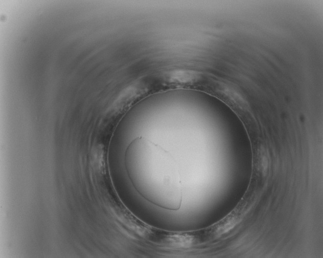 X0000062140328200512161224