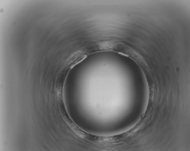 X0000062140329200512161224