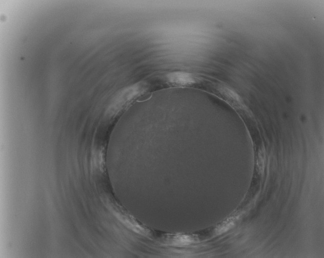 X0000062140330200512161224