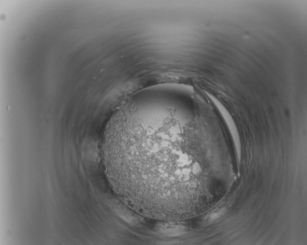 X0000062140331200512161224