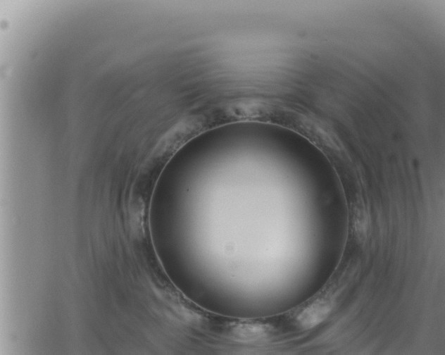 X0000062140332200512161224