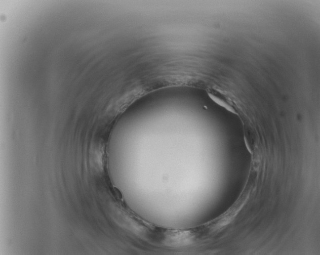 X0000062140334200512161224