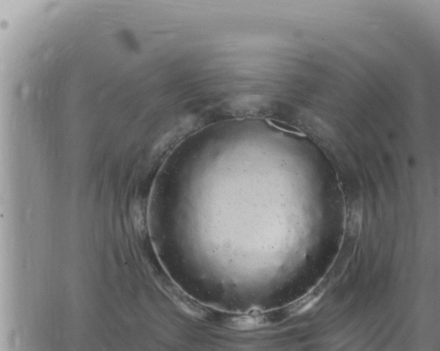 X0000062140335200512161224