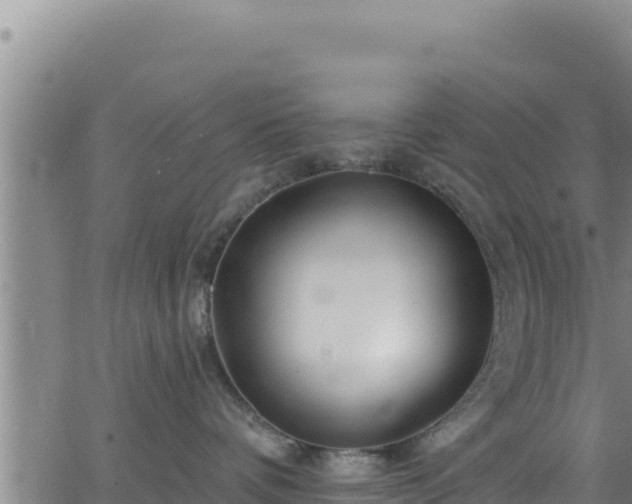 X0000062140336200512161224