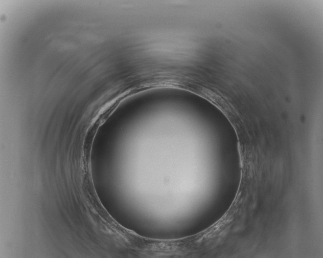 X0000062140338200512161223