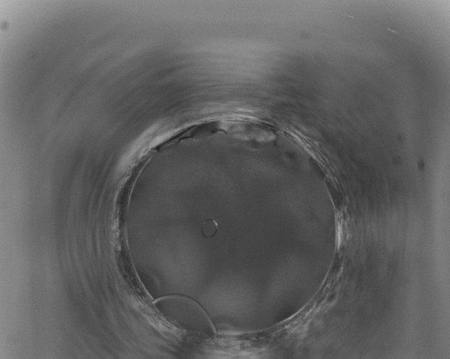 X0000062140339200512161223