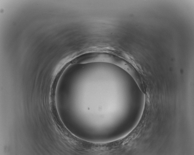 X0000062140340200512161223