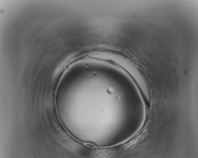 X0000062140341200512161223