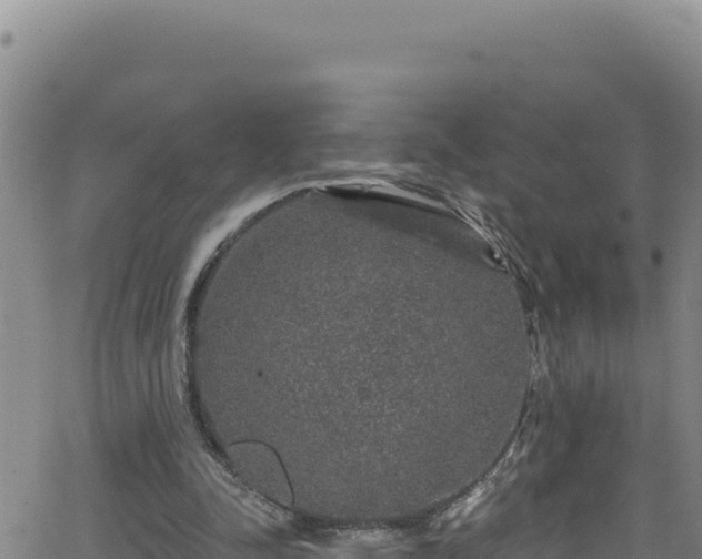 X0000062140342200512161223