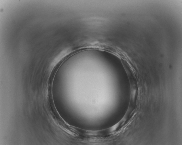 X0000062140344200512161223