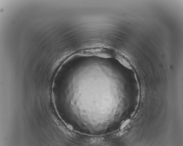 X0000062140345200512161223