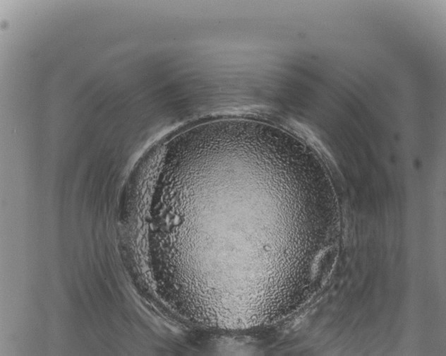 X0000062140346200512161223