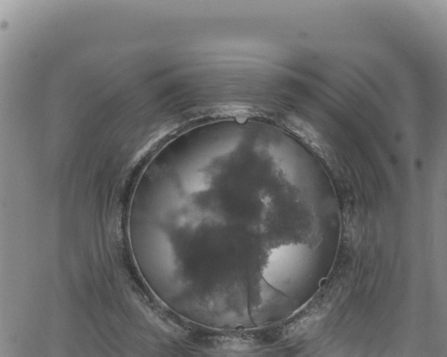 X0000062140347200512161223