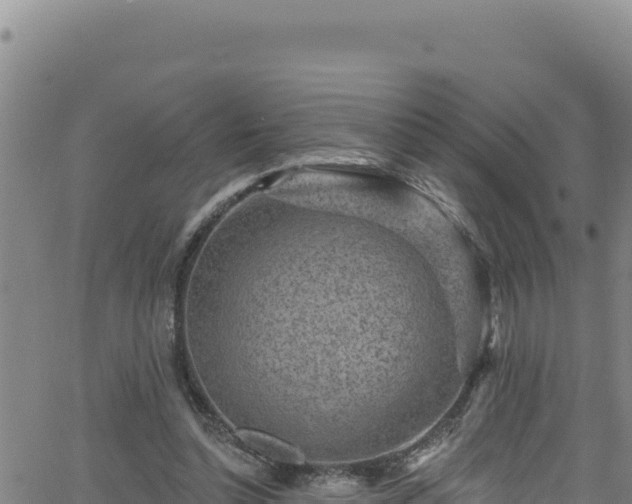 X0000062140348200512161223