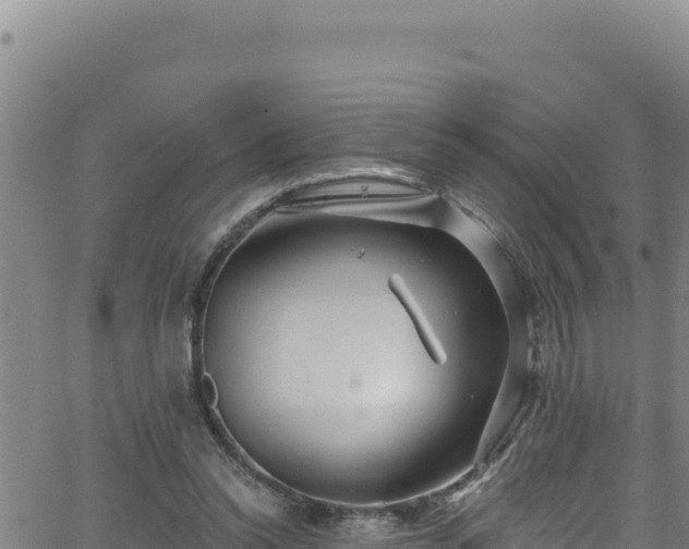 X0000062140350200512161223