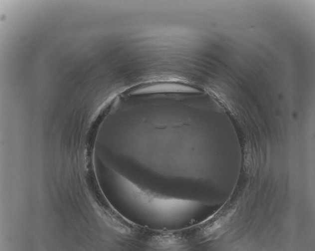 X0000062140351200512161223