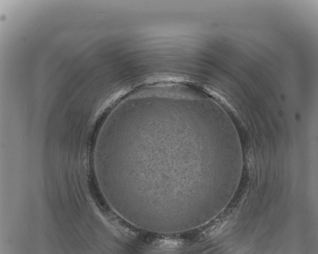 X0000062140352200512161223