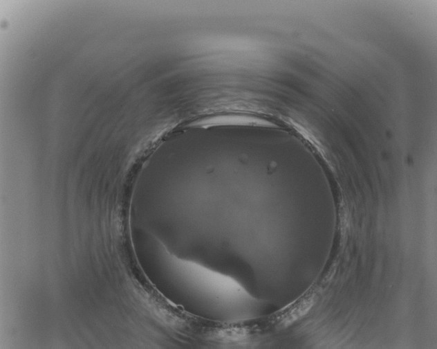 X0000062140353200512161223