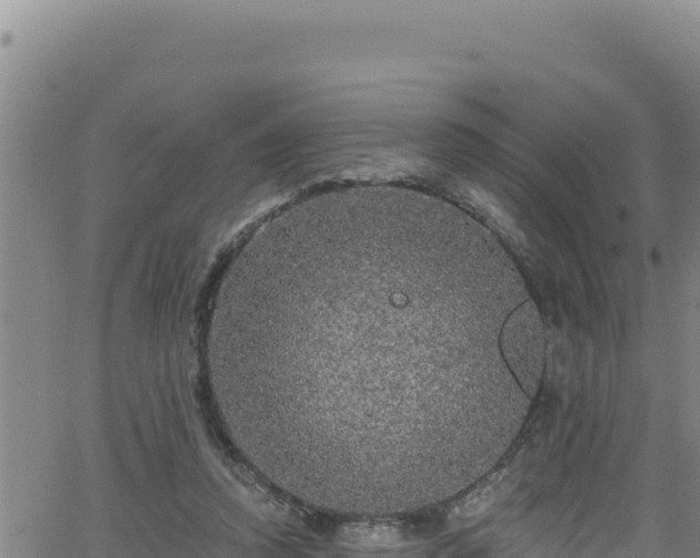 X0000062140354200512161223