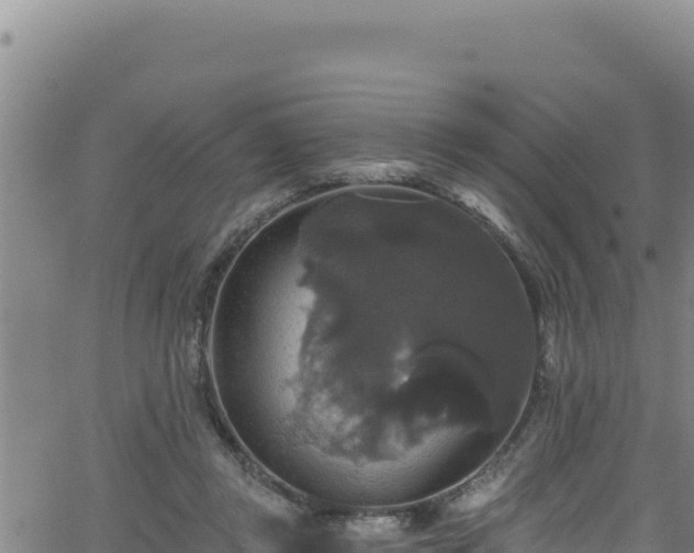 X0000062140357200512161223