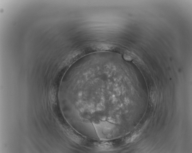 X0000062140359200512161223